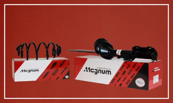 Kaip atrodo „Magnum“ amortizatorių ir spyruoklių kokybės patikra?