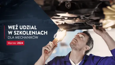 Szkolenia techniczne Inter Cars marzec 2024