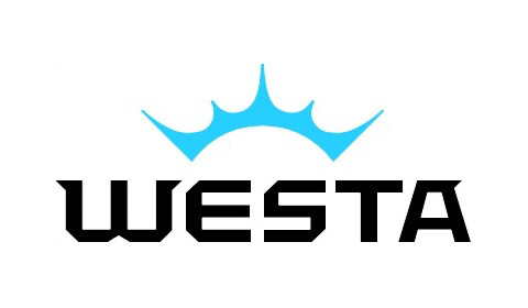 VEGA