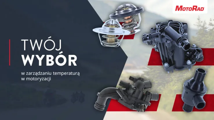 Twój wybór w zarządzaniu temperaturą w motoryzacji