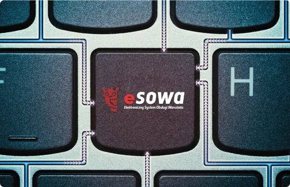 eSowa on keyboard