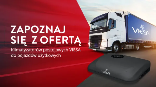 Viesa