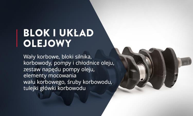 Wały korbowe, bloki silnika, korbowody, pompy i chłodnice oleju