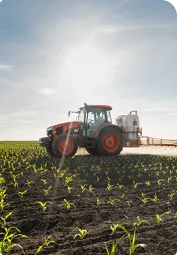 Punane traktor pritsib põllul noori taimi päikesepaistelise ilmaga, selge taevas ja kerged pilved