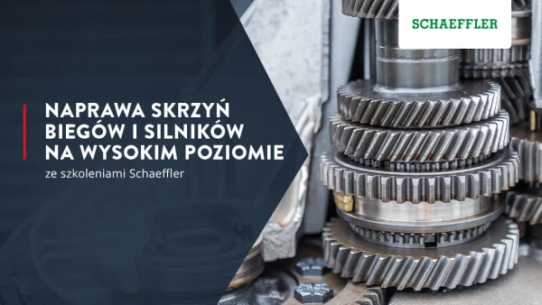 Naprawa skrzyń biegów i silników na wysokim poziomie z Schaeffler