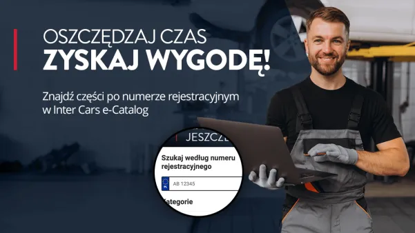 Wyszukiwanie po numerze rejestracyjnym w e-Catalog