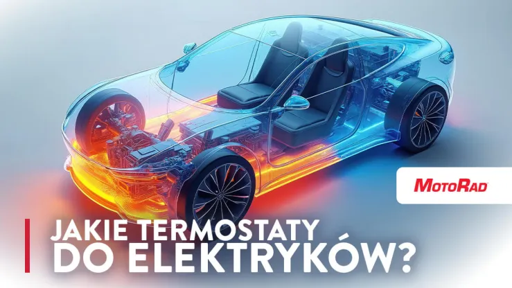 Prześwitująca karoseria samochodu z uwzględnieniem temperatury