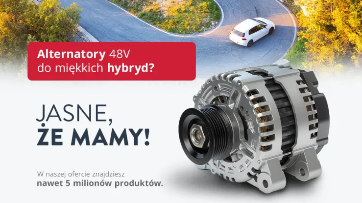 Alternatory do miękkich hybryd w Inter Cars