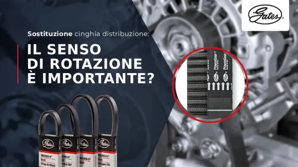 GATES - cinghia distribuzione