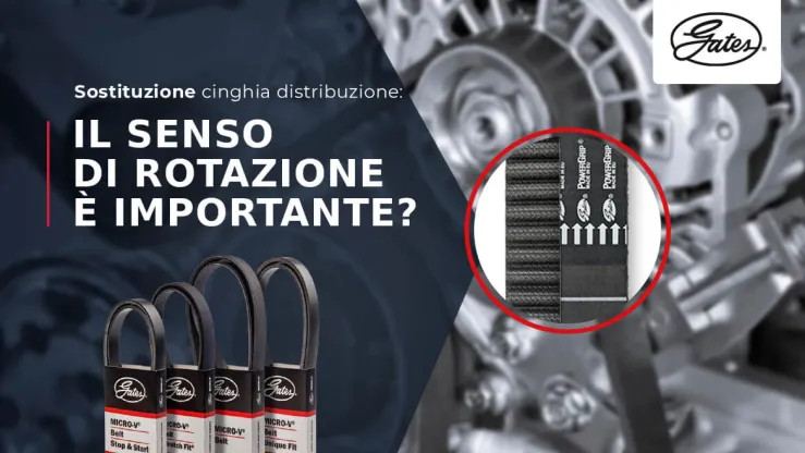 GATES - cinghia distribuzione v1 GATES - cinghia distribuzione
