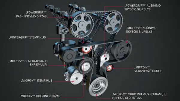 Automobilio variklio komponentų schema su pavadinimais, įskaitant diržus ir skriemulius.