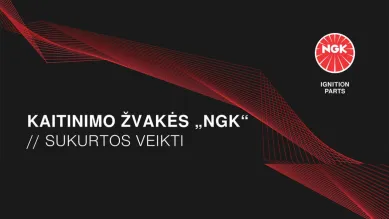 NGK kaitinimo žvakės
