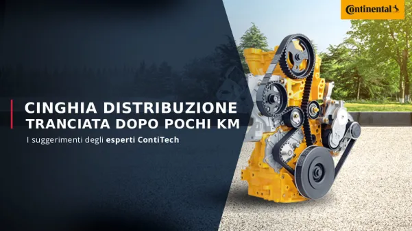 Cinghia distribuzione - ContiTech