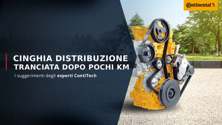 Cinghia distribuzione - ContiTech