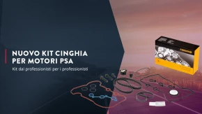 Kit distribuzione per PSA