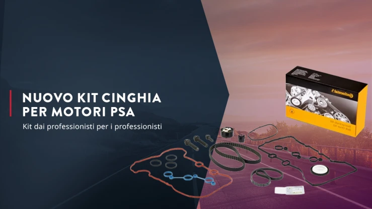 Kit distribuzione per PSA