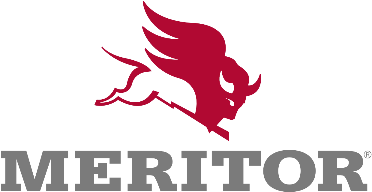Logotyp Meritor