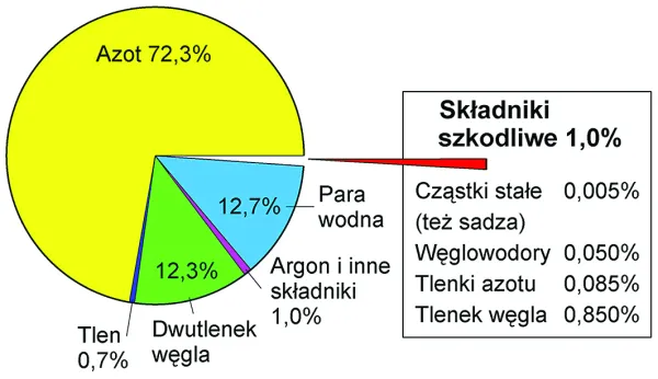 Udziały objętościowe składników spalin silnika ZI.