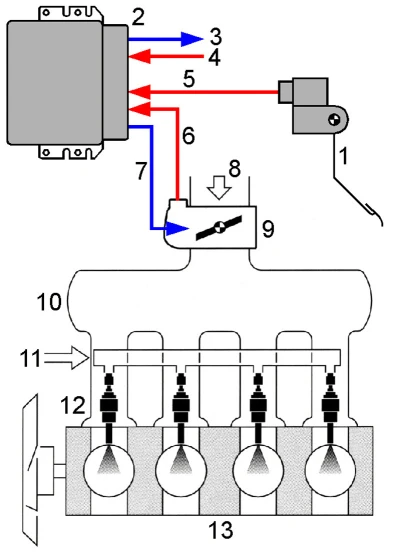 Opis elementów na zdjęciu: 1 - pedał przyspieszenia; 2 - sterownik silnika; 3 - sygnały wyjściowe dla elementów  wykonawczych; 4 - sygnały wejściowe z czujników; 5 - informacja o kącie ustawienia  pedału przyspieszenia; 6 - informacja o kącie otwarcie przepustnicy; 7 - sygnał sterujący zmianą wartości kąta otwarcia przepustnicy; 8 - powietrze zasysane przez silnik;  9 - nastawnik przepustnicy; 10 - kolektor dolotowy; 11 - listwa paliwowa; 12 - wtryskiwacze benzyny; 13 - silnik. (źródło - Robert Bosch)
