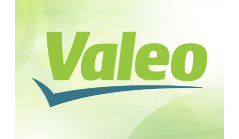 Valeo edukativni online webinari