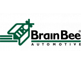BRAIN BEE