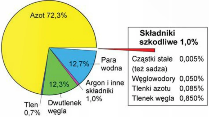 Udziały objętościowe składników spalin silnika ZI. Źródło: Robert Bosch