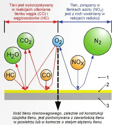 Schematyczne przedstawienie procesu wydzielania ze spalin tlenu równowagowego, którego ilość jest następnie mierzona przez każdy z typów czujnika tlenu. 
Oznaczenia na rysunku: 1 - spaliny napływające z silnika; 2 - warstwa katalityczna; 3 - nośnik warstwy katalitycznej. Składniki spalin: HC - węglowodory; CO - tlenek węgla; NOX - tlenki azotu; H2O- woda (w postaci pary); CO2 - dwutlenek węgla; N2 -azot; 02 -tlen.