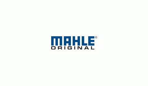 MAHLE