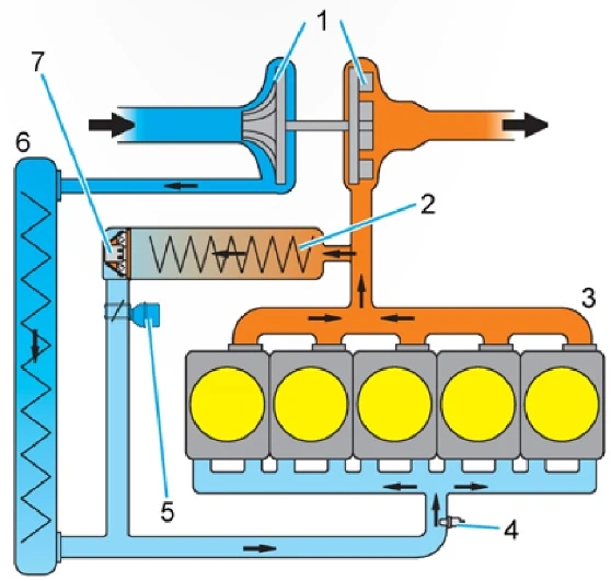 Układ recyrkulacji spalin silnika ZS samochodu ciężarowego MAN, wyposażony w zawór zwrotny. Elementy na rysunku: 1 - turbosprężarka; 2 - chłodnica recyrkulowanych spalin; 3 - silnik ZS; 4 - czujnik temperatury powietrza doładowującego; 5 - zawór recyrkulacji spalin; 6 - chłodnica powietrza doładowującego; 7 - zawór zwrotny. (Źródło: Pierburg)