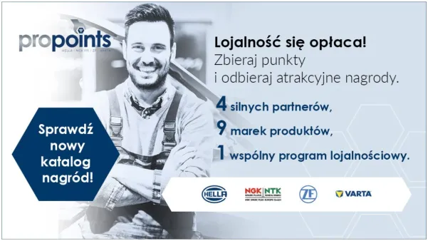 Na czym polega program proPoints?